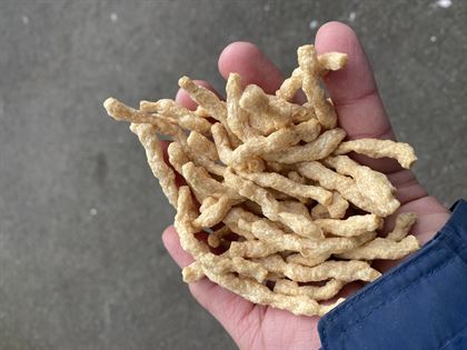 Vegan Meat Strips .純素乾牛絲